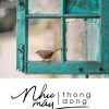 Như Mây Thong Dong - Lưu Đình Long