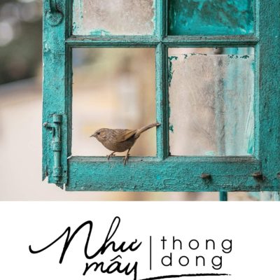 Như Mây Thong Dong - Lưu Đình Long