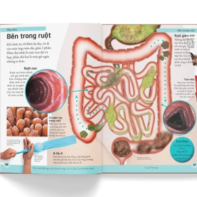 bách khoa cho trẻ em bách khoa cơ thể người (bìa cứng) dk