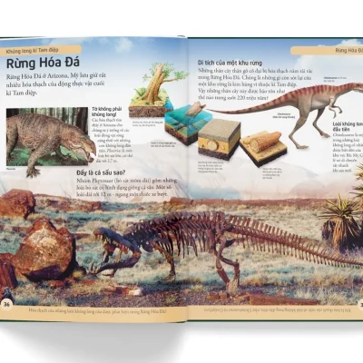 bách khoa cho trẻ em bách khoa khủng long (bìa cứng) dk