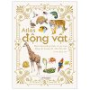 Atlas Động Vật - Bách Khoa Bằng Hình Về Các Loài Động Vật Hoang Dã Trên Thế Giới (Bìa Cứng) - Barbara Taylor, Kenneth Lilly
