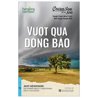 chicken soup for the soul vượt qua dông bão amy newmark