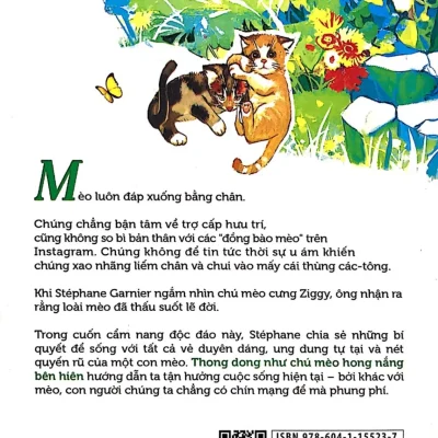 thong dong như chú mèo hong nắng bên hiên stéphane garnier