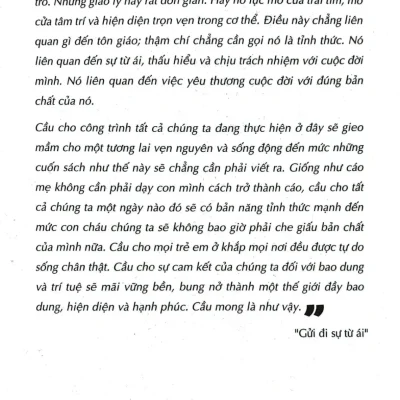 giáo dục tỉnh thức daniel rechtschaffen