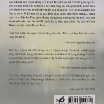 cửa sổ hình tia chớp võ diệu thanh
