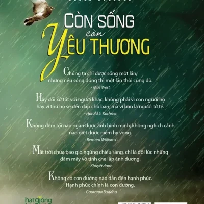 hạt giống tâm hồn còn sống còn yêu thương (bìa cứng) first news