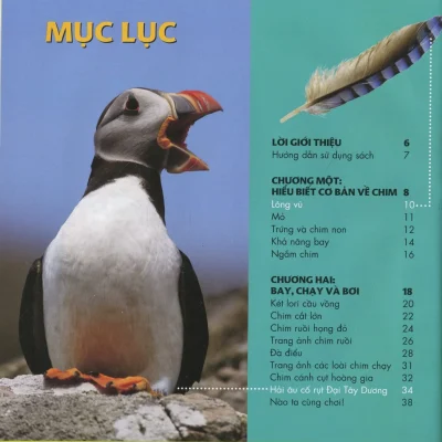 cuốn sách lớn Đầu tiên của tớ chim (bìa cứng) catherine d. hughes, national geographic kids
