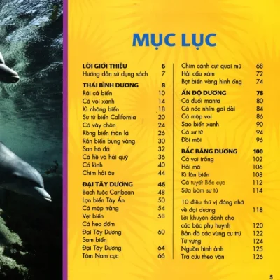 cuốn sách lớn Đầu tiên của tớ Đại dương (bìa cứng) catherine d. hughes, national geographic kids