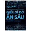 Điều Gì Đó Ẩn Sâu - Thế Giới Lượng Tử Và Không-Thời Gian Đột Sinh - Sean Carroll