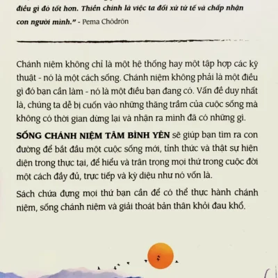 sống chánh niệm tâm bình yên paddy brosnan