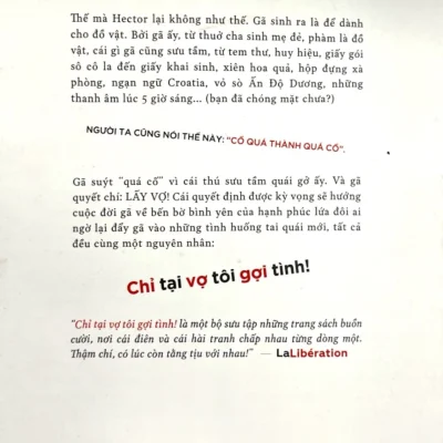 chỉ tại vợ tôi gợi tình! david foenkinos