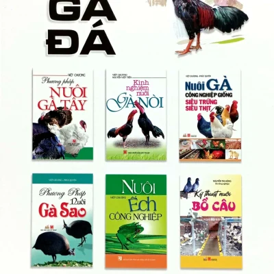 cách chọn gà Đá vũ hồng anh