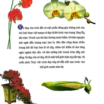 thiên nhiên những bí mật còn Ẩn giấu thực vật xinh Đẹp trác việt