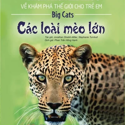Bách Khoa Tri Thức Về Khám Phá Thế Giới Cho Trẻ Em - Các Loài Mèo Lớn - Jonathan Sheikh