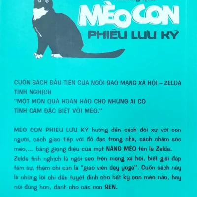 mèo con phiêu lưu ký zelda tinh nghịch