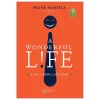 A Wonderful Life - Đi Tìm Ý Nghĩa Cuộc Sống - Frank Martela