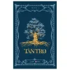 Tàn Tro - HIRO t