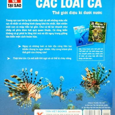 thế nào và tại sao các loài cá thế giới diệu kì dưới nước (bìa cứng) nicolai schirawski