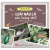 Song Ngữ Việt Anh - Khám Phá Thế Giới - Loài Nào Là Côn Trùng Nhỉ? - Who Is The Insect? - Chia-Fen Her