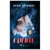 Cạm Bẫy - David Baldacci