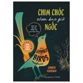 Chim Chóc Chưa Bao Giờ Ngốc – Jennifer Ackerman