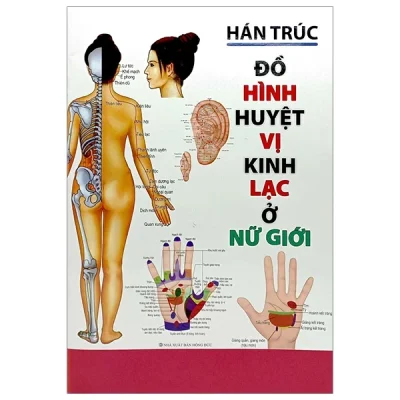 Đồ Hình Huyệt Vị Kinh Lạc Ở Nữ Giới – Hán Trúc
