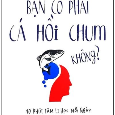Bạn Có Phải Cá Hồi Chum Không? - An Nhã Ninh