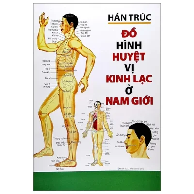 Đồ Hình Huyệt Vị Kinh Lạc Ở Nam Giới – Hán Trúc
