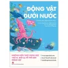 Động Vật Kì Thú - Động Vật Dưới Nước - Bảo Tàng Khoa Học Dolphin Media, Ruiying Studio