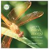 Khám Phá Việt Nam Xanh - A Touch Of Vietnam - Linh Hồn Cánh Mỏng - Souls With Thin Wings - Song Ngữ Việt-Anh (2025) - Phạm Thanh Kiều Trang