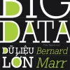 BIG DATA - Dữ Liệu Lớn - Bernard Marr