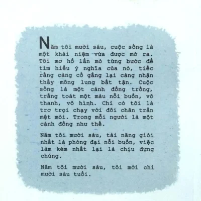 Gửi Thanh Xuân Không Bao Giờ Ngoảnh Lại – Linh Chi