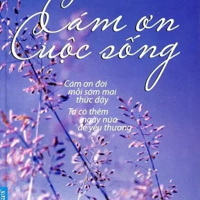 Hạt Giống Tâm Hồn – Cám Ơn Cuộc Sống – Keith D. Harrell