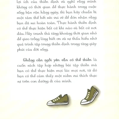 Chẳng Cần Ngồi Yên Vẫn Có Thể Thiền (Tái Bản 2019) – Jan Chozen Bays