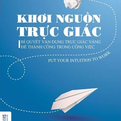 Khơi Nguồn Trực Giác - Lynn A. Robinson