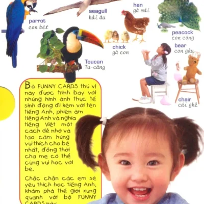 Bộ Funny Cards 1 – Vui Học Tiếng Anh Bằng Hình Ảnh