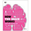 How The Brain Works - Hiểu Hết Về Bộ Não (2022) - DK