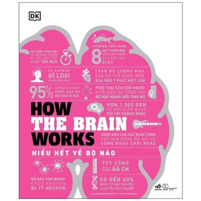 How The Brain Works - Hiểu Hết Về Bộ Não (2022) - DK