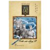 Thiệu Bảo Bình Nguyên - Tập 2 - Trước Cơn Dông Tố (2018) - Hồng Thái