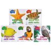 Bách Khoa Toàn Thư Cho Bé - Động Vật Dưới Nước (Bộ 5 Cuốn) (2021) - Bảo Thư