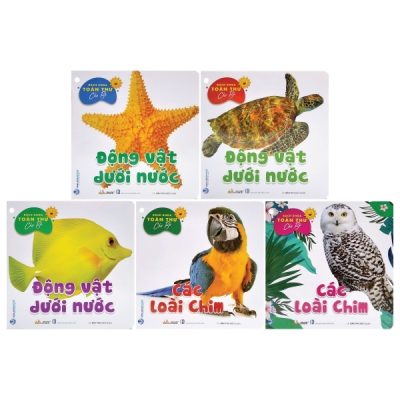 Bách Khoa Toàn Thư Cho Bé - Động Vật Dưới Nước (Bộ 5 Cuốn) (2021) - Bảo Thư