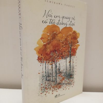 [Phiên Chợ Sách Cũ] Nơi Em Quay Về Có Tôi Đứng Đợi (2015) - Ichikawa Takuji S2610