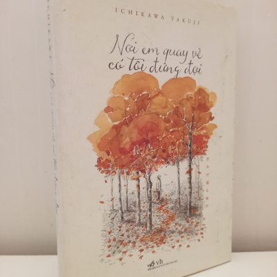 [Phiên Chợ Sách Cũ] Nơi Em Quay Về Có Tôi Đứng Đợi (2016) - Ichikawa Takuji S2610