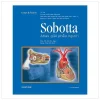 Sobotta Atlas Giải Phẫu Người (2018) - Sobotta