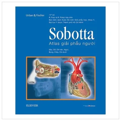 Sobotta Atlas Giải Phẫu Người (2018) - Sobotta