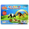 Flashcard Dạy Trẻ Theo Phương Pháp Glenn Doman - Động Vật Hoang Dã (2020) - The Candy