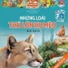 Sách 3D: Những Loài Thú Lớn Họ Mèo (2014) - Nhóm tác giả