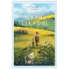 Không Gia Đình - Bìa Cứng (2024) - Hector Malot