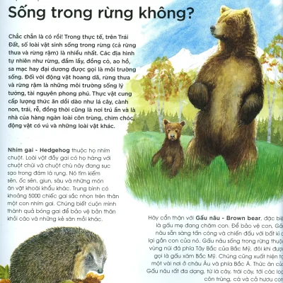 Ban Co Biet Dong Vat Co Can Che O Khong Hoi Dap Ve The Gioi Hoang Da 2019 Steve Parker Graham Rosewarne 692ec1feabb89