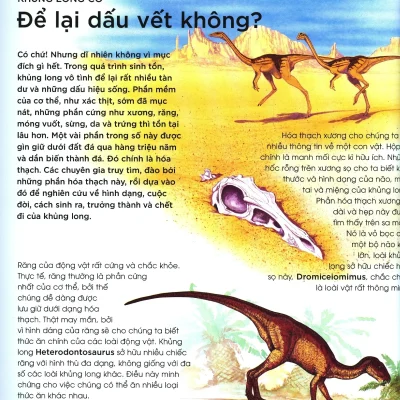 Ban Co Biet Khung Long Co De Trung Khong Hoi Dap Ve Bo Sat Thoi Tien Su 2019 Steve Parker Graham Rosewarne 692ec1f746316